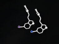 SEROTONIN